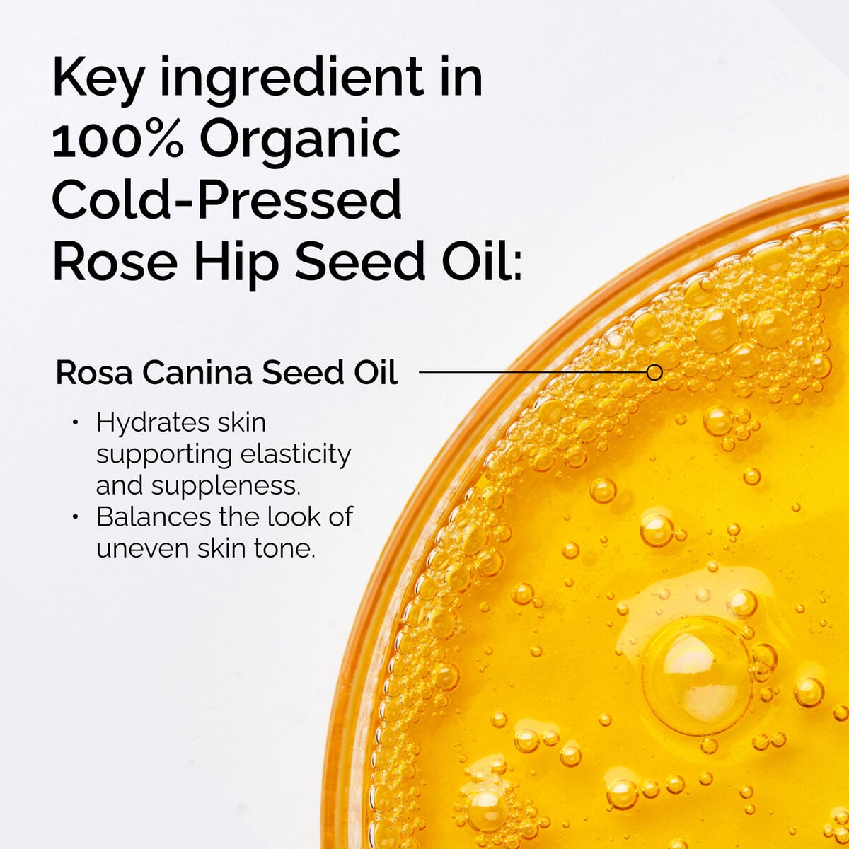 100-organic-cold-pressed-rose-hip-seed-oil-w8 FY25-D41247-ORD-Web-PDP-100-Rose-Hip-Oil-1x1-EN-2.jpg