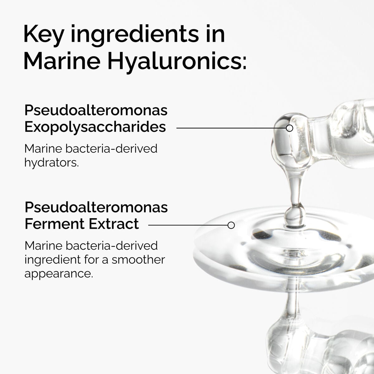 marine-hyaluronics-b6 FY25-D41247-ORD-Web-PDP-Marine-Hya-1x1-EN-2a.jpg