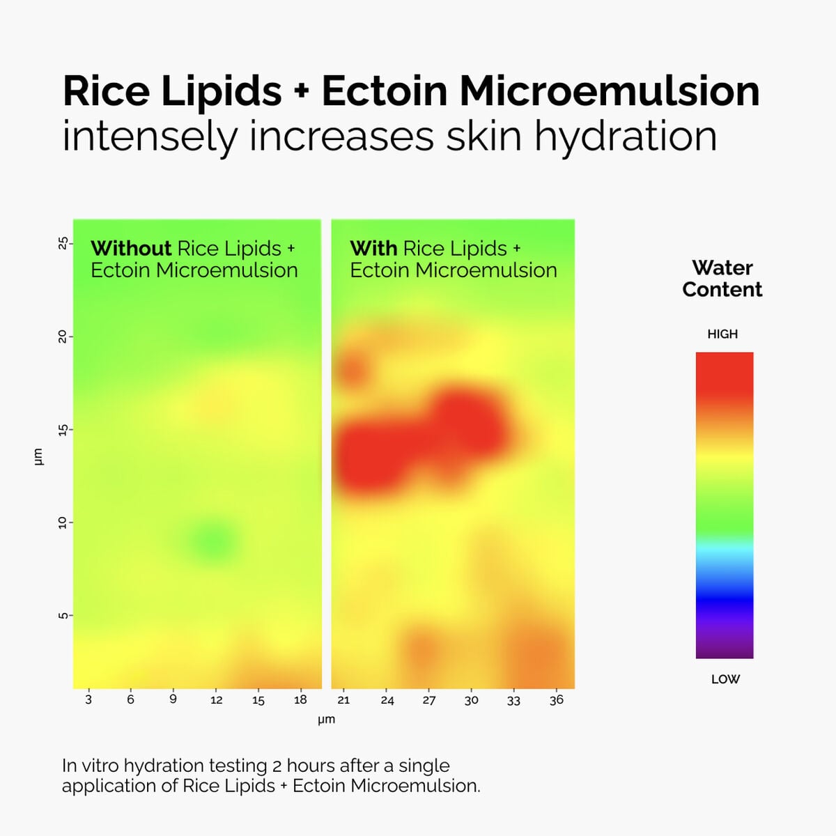 rice-lipids-ectoin-microemulsion-h3 ord-rice-lipids-ectoin-microemulsion-thermal-before-after.jpg